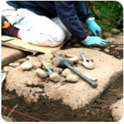 庭園施工の画像